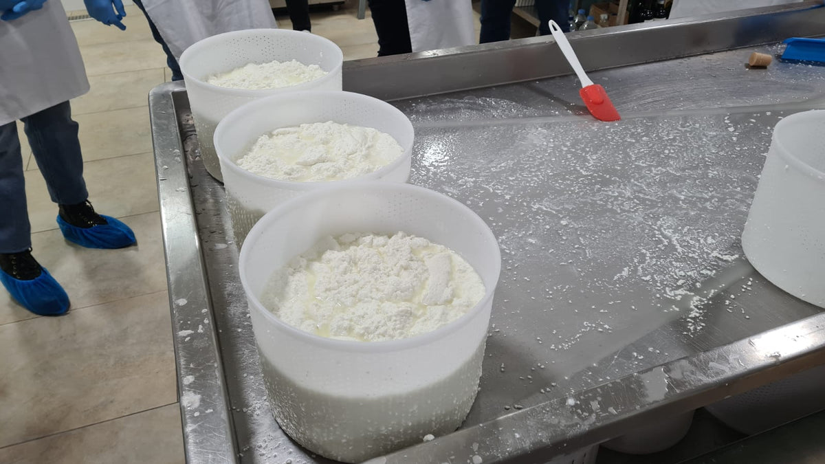 031 Zejtun: Cheese Making Experience including Tasting Session Saturday 31st October 2026 19:00