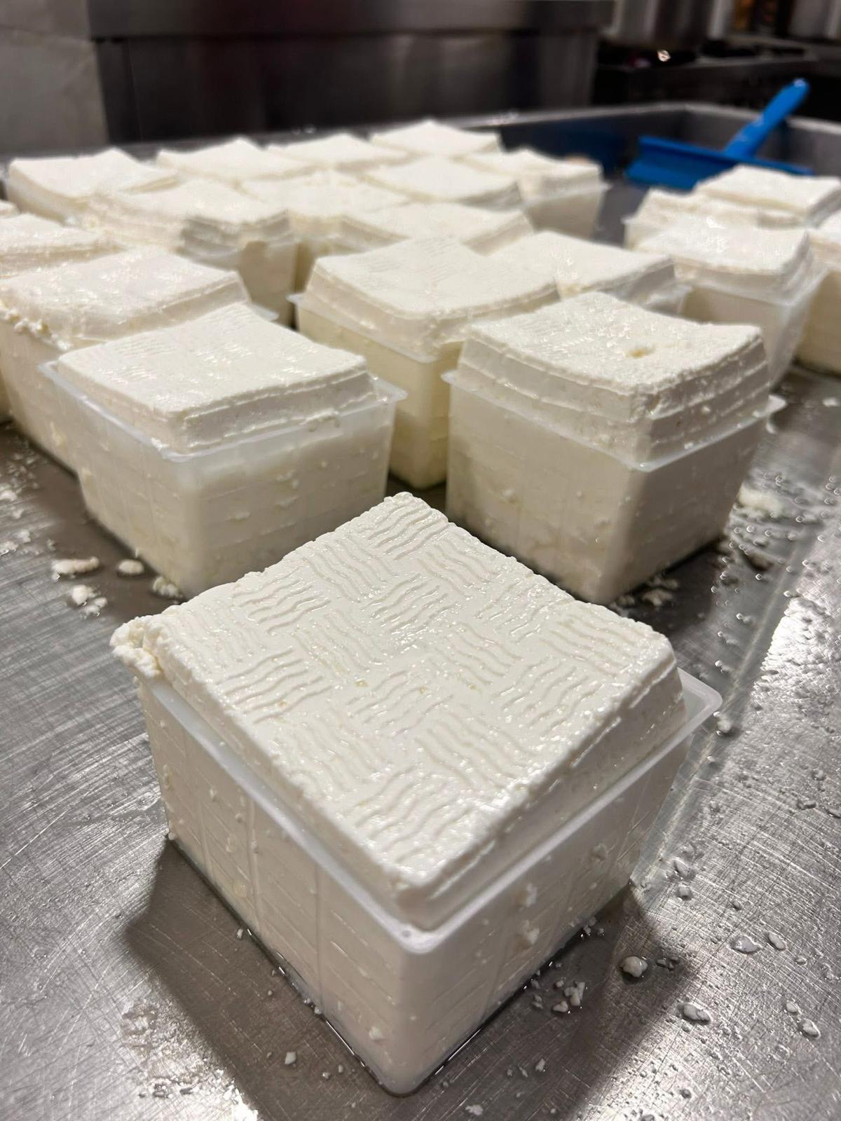 031 Zejtun: Cheese Making Experience including Tasting Session Saturday 31st October 2026 19:00