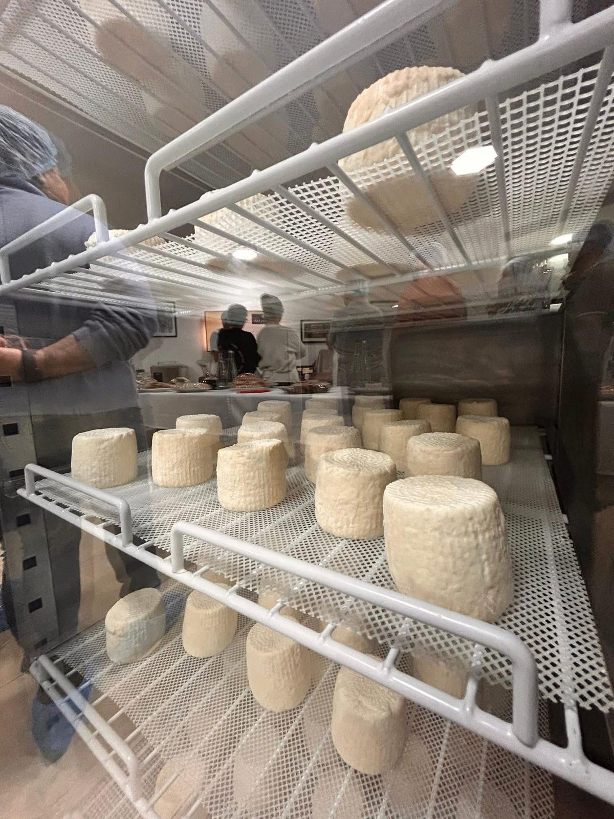 031 Zejtun: Cheese Making Experience including Tasting Session Saturday 31st October 2026 19:00