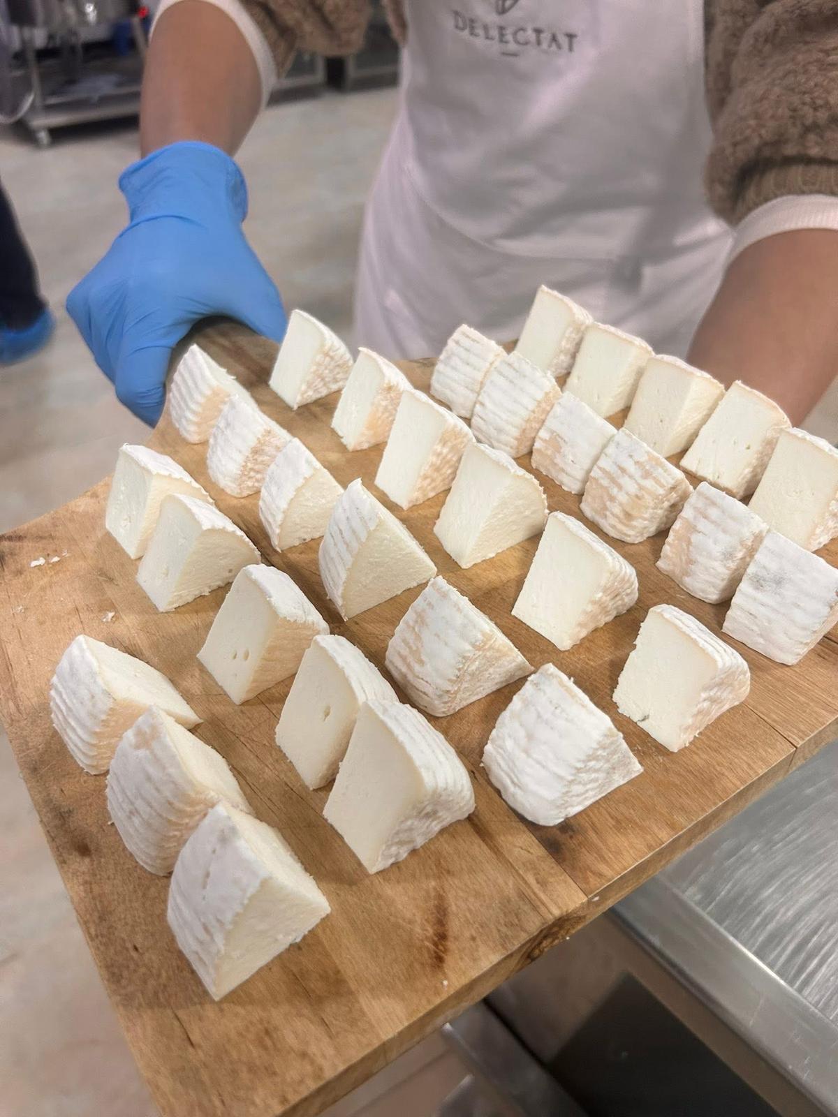 031 Zejtun: Cheese Making Experience including Tasting Session Saturday 31st October 2026 19:00